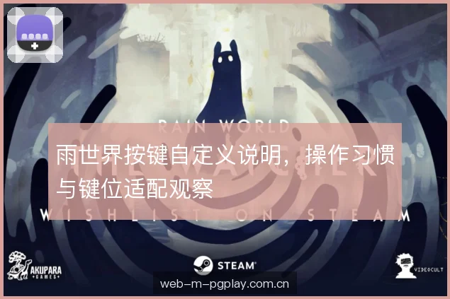 雨世界按键自定义说明，操作习惯与键位适配观察